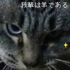 ACTARK